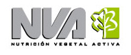 logo_nva